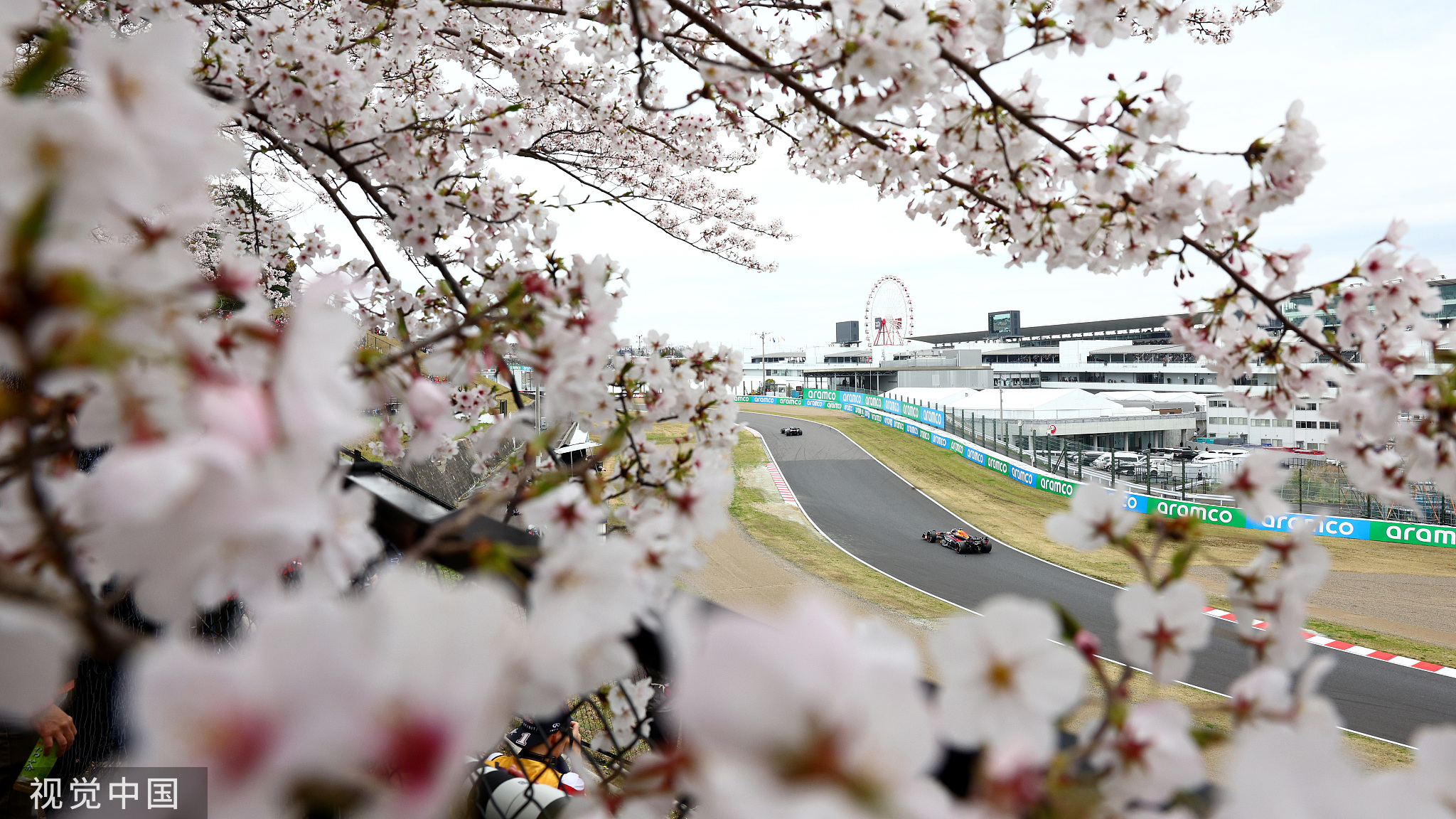 欧洲杯2024：央视网全程视频直播2024赛季F1日本大奖赛(图1)